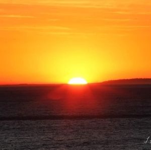 Meet your Posher, Lynette